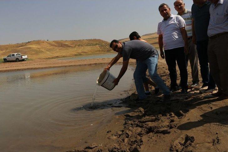 Yaylalardan Sonra Meralara Da Huzur Geldi G3