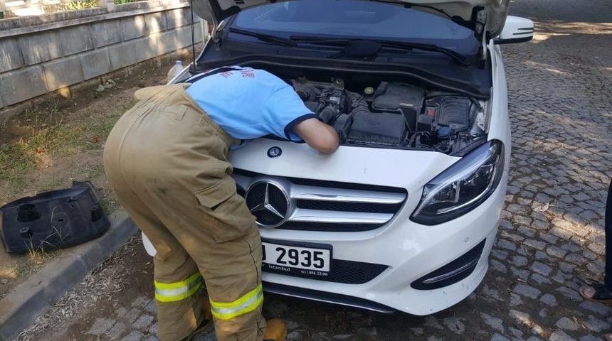 Edremit&rsquo;te Motorda Mahsur Kalan Kedi İle İtfaiye Erinin Kovalamacısı