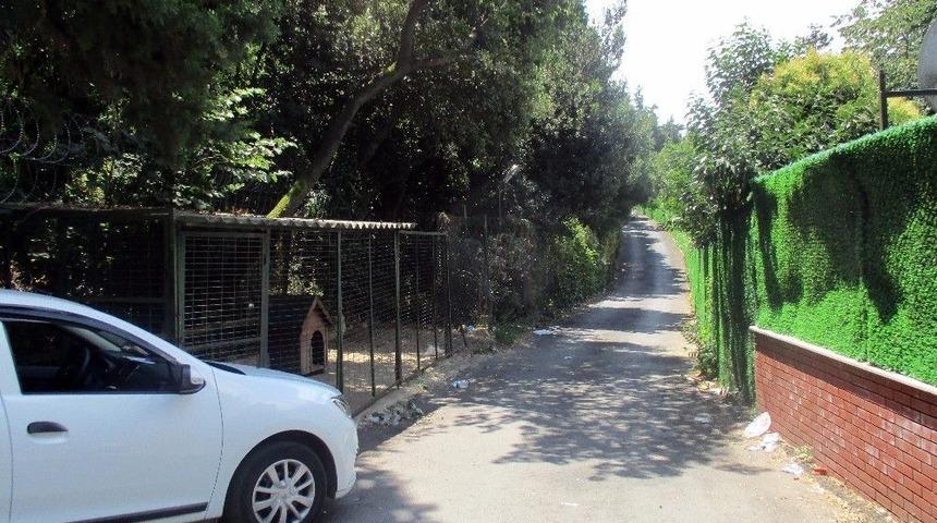 (&ouml;zel Haber) Adnan Oktar&rsquo;ın Villasında Aramalar Bitti