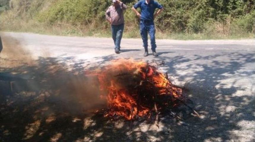 Dere Kenarına Ekilen Hint Kenevirleri İmha Edildi