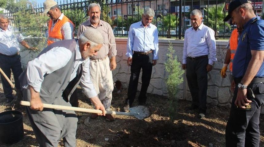 Kahta İl&ccedil;esinde Şehitler İ&ccedil;in Fidan Dikildi