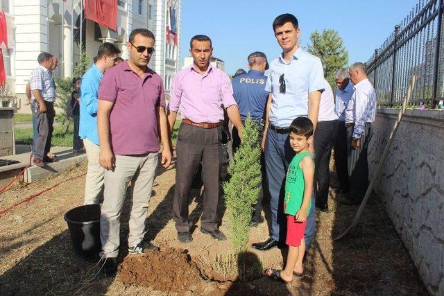 Kahta İlçesinde Şehitler İçin Fidan Dikildi 1
