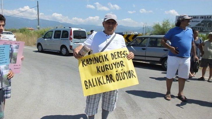 Balıkesir’de Balık Ölümleri Ve Trafik Kazalarına Tepki Gösteren Tatilciler Yol Kapattı G1