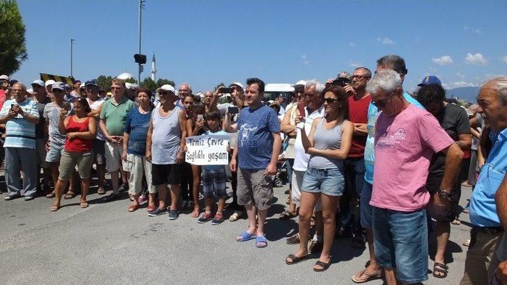 Balıkesir’de Balık Ölümleri Ve Trafik Kazalarına Tepki Gösteren Tatilciler Yol Kapattı G2