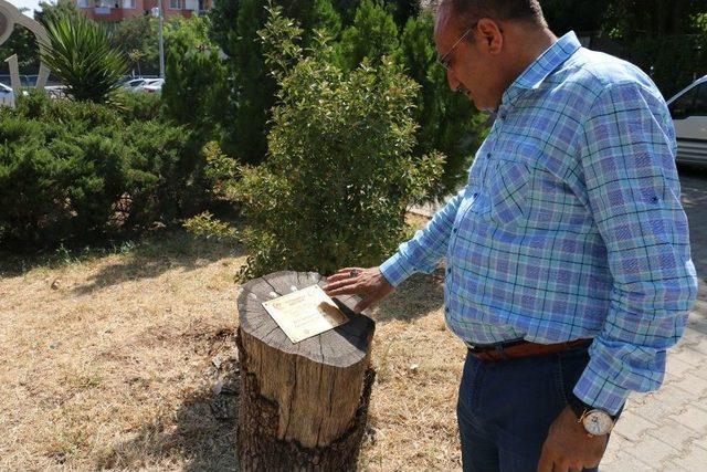 15 Temmuz’un Tanığı Konuştu