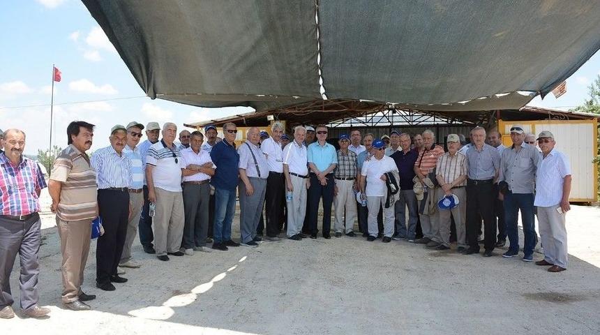 Dinar&rsquo;da Badem Festivali