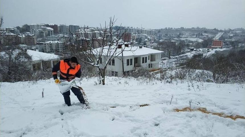 Sokak Hayvanları İ&ccedil;in Yiyecek Bırakıldı