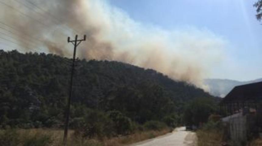 Muğla&rsquo;da Orman Yangını Kontrol Altına Alındı