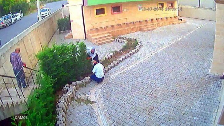 Cemaat Namazdayken Cami Avlusundaki Çam Ağaçlarını Kesip Çaldılar G2