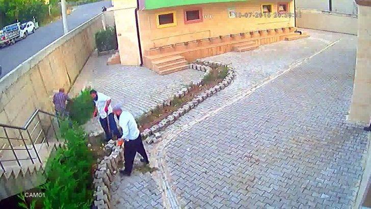 Cemaat Namazdayken Cami Avlusundaki Çam Ağaçlarını Kesip Çaldılar G4