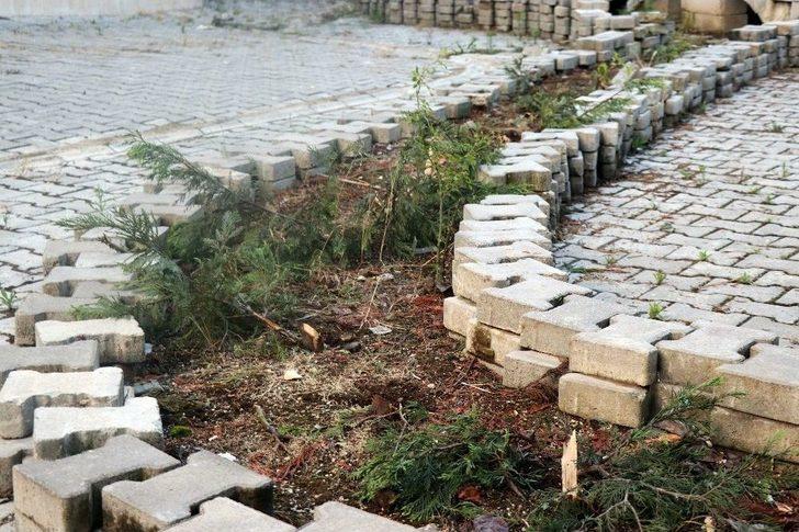 Cemaat Namazdayken Cami Avlusundaki Çam Ağaçlarını Kesip Çaldılar G5