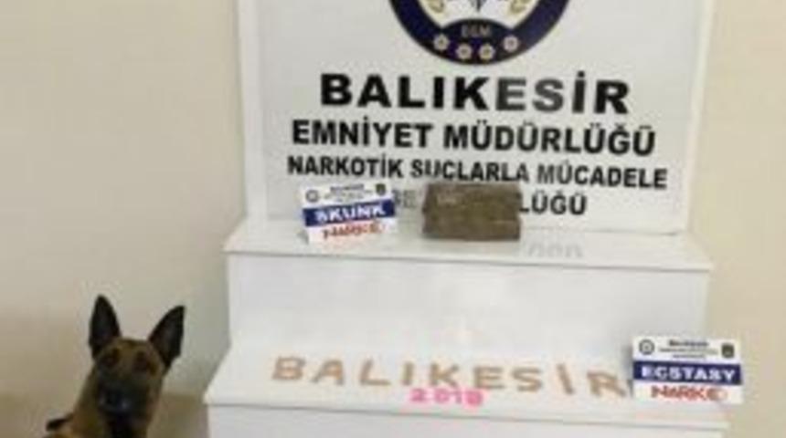 Polis K&ouml;peği &rsquo;galia&rsquo; Bingo Yaptı