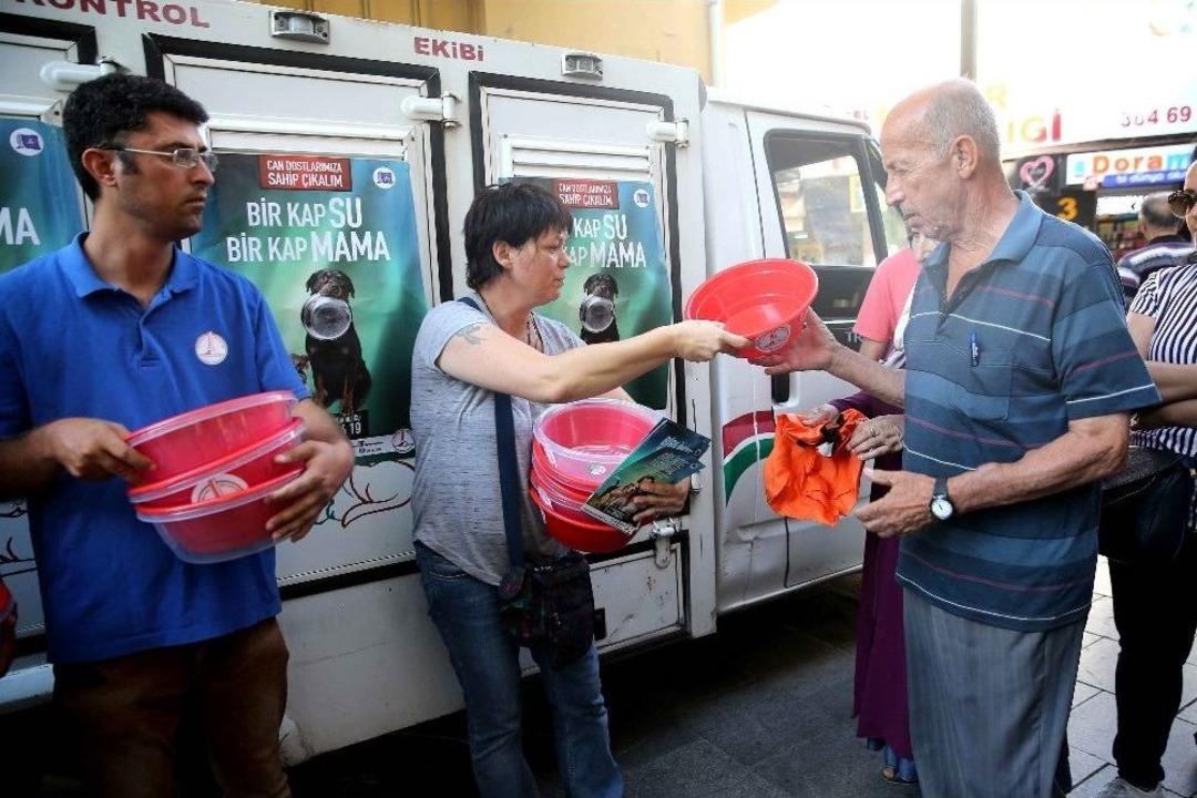 Sokak Hayvanları İ&ccedil;in &lsquo;yaz&rsquo; Seferberliği