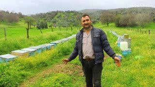 Aydın’da Arılar Bu Defa Yağma Savaşına Başladı