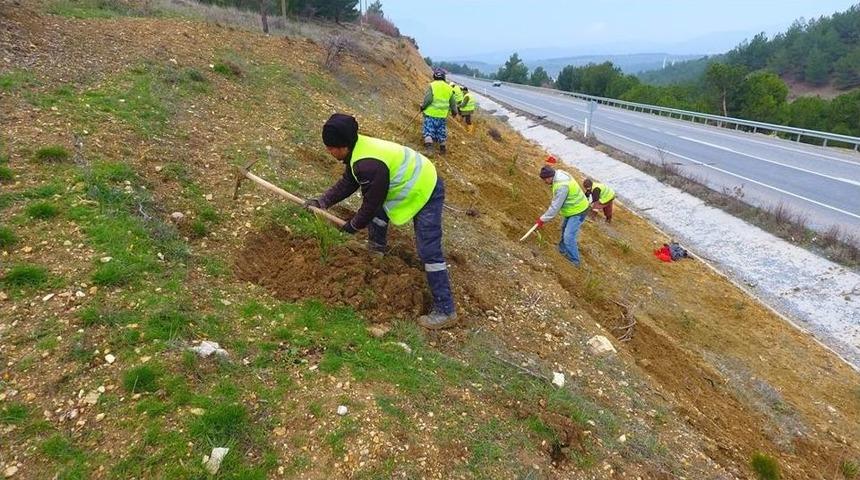Manisa&rsquo;nın Yol Kenarlarına 800 Km&rsquo;lik Yeşil Kuşak