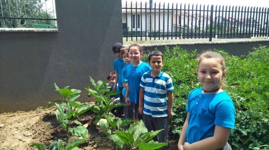 &Ouml;ğrencilerin Organik Tarım Heyecanı