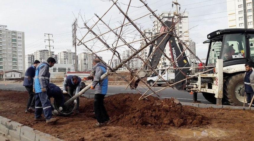 Fırat Bulvarı Daha Yeşil Olacak