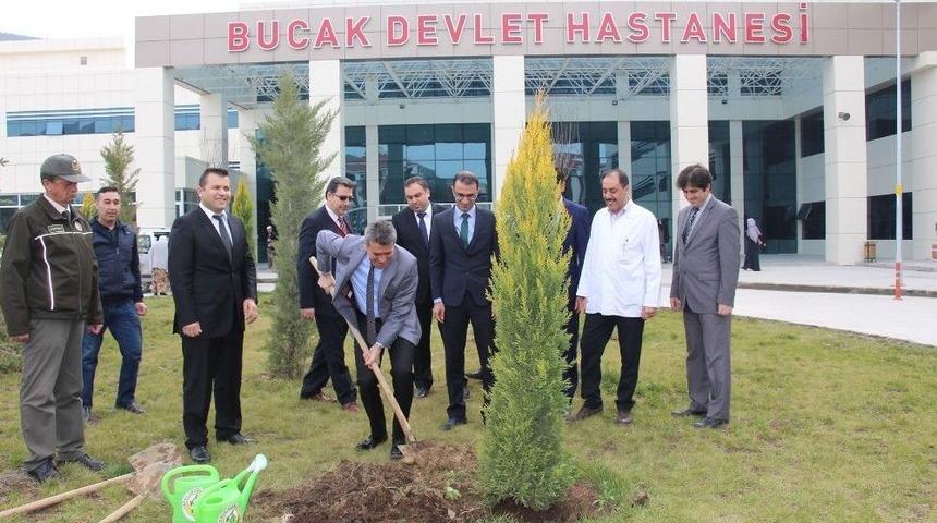 Bucak Devlet Hastanesi Bah&ccedil;esi Yeşillendiriliyor
