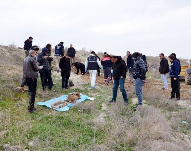 Kayıp Kişiyi Yeğeni Öldürmüş