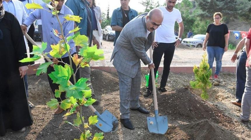 15 Temmuz Demokrasi Şehitleri Hatıra Ormanı&rsquo;na Fidan Dikildi