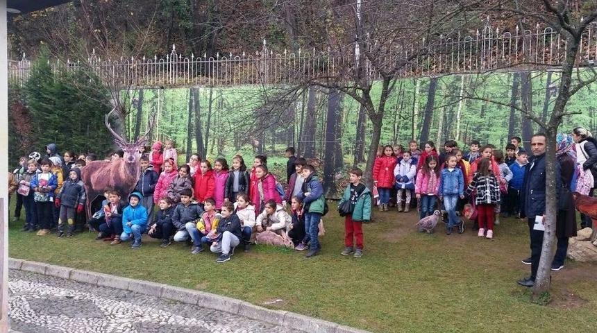 Av K&ouml;şk&uuml;&rsquo;nde &lsquo;avcılık&rsquo; Sergisi