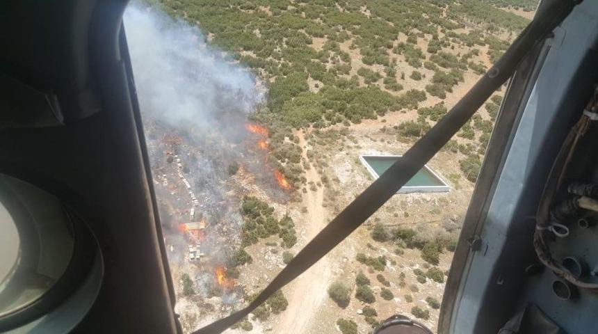 İzmir&rsquo;de Orman Yangını