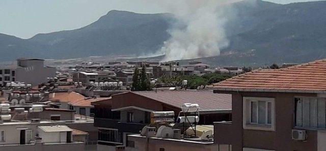 İzmir’de Orman Yangını