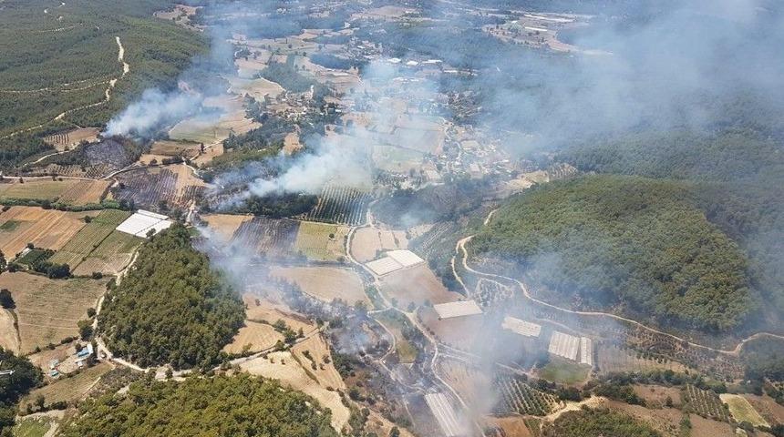Manavgat&rsquo;ta Orman Yangını