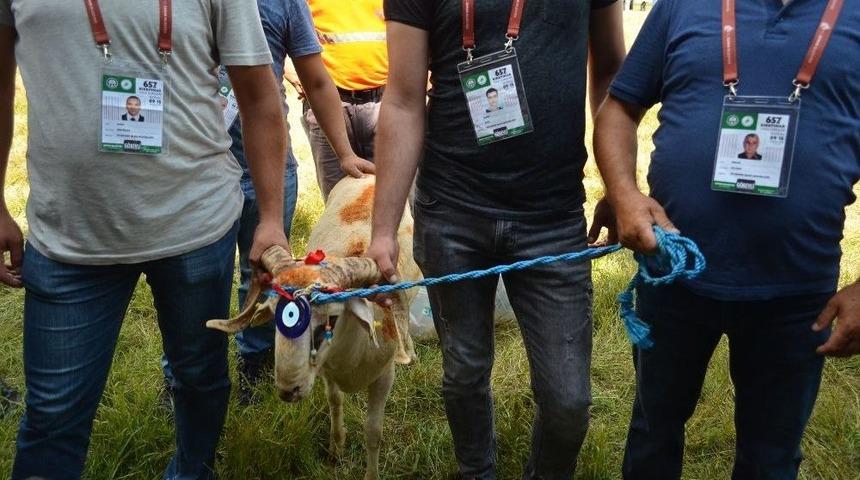 658. Tarihi Kırkpınar Ağası Seyfettin Selim Oldu