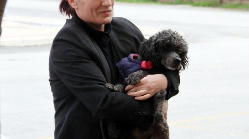 Kayıp K&ouml;peğin Sahibini Bulmak İ&ccedil;in Sokak Sokak Dolaştı