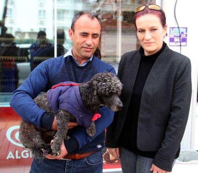 Kayıp Köpeğin Sahibini Bulmak İçin Sokak Sokak Dolaştı