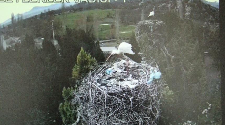 Leylekler Vadisi Konuklarını Ağırlamaya Başladı