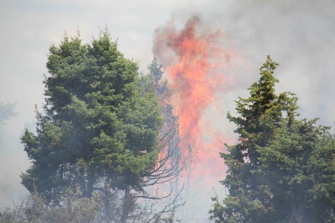 Konya&rsquo;da Orman Yangını
