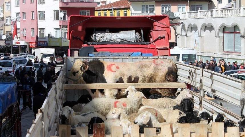 Mehmet&ccedil;ik İ&ccedil;in S&uuml;r&uuml; Bağışladılar