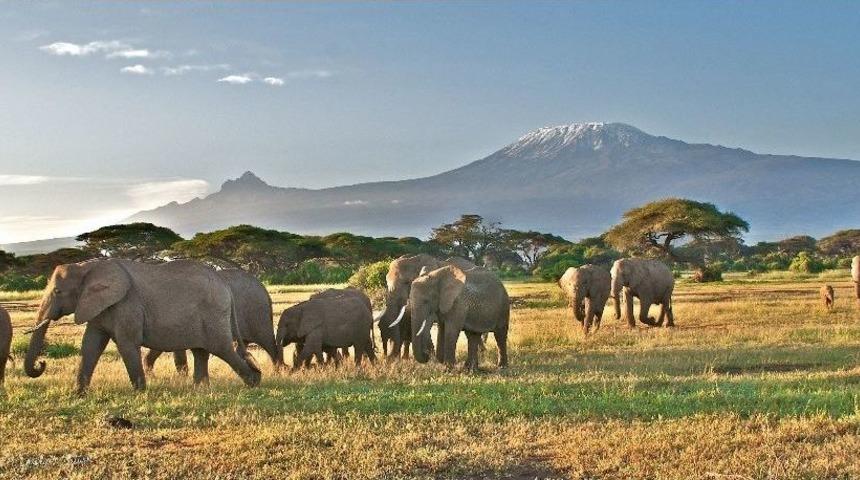 Prof. Dr. &Ouml;zt&uuml;rk, D&ouml;rt Kıtada &Ccedil;ektiği Yaban Fotoğraflarını Metroda Sergileyecek