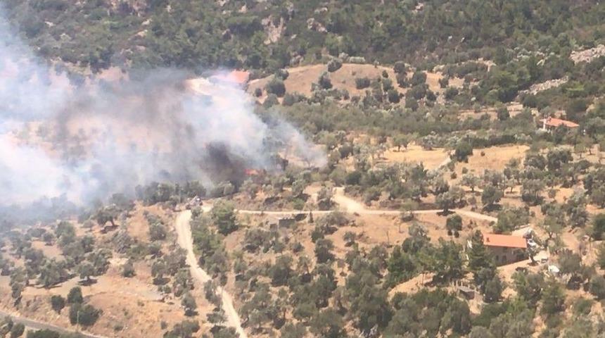 Dat&ccedil;a&rsquo;da Ziraat Yangını