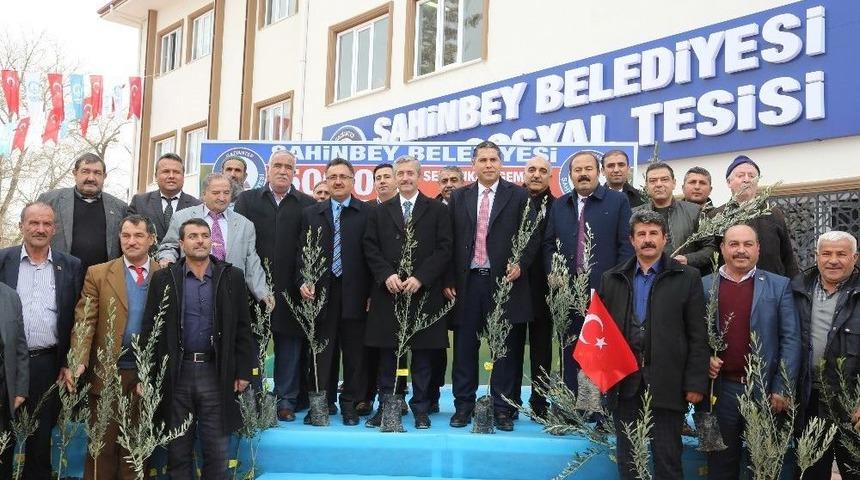 Başkan Tahmazoğlu&rsquo;ndan &Ccedil;ift&ccedil;ilere 500 Bin Adet Zeytin Fidanı