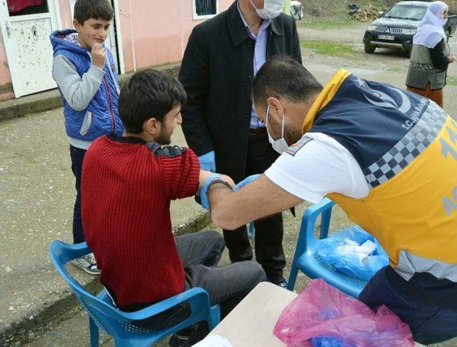 Tilki Tarafından Isırılan İnek Kuduz Çıktı, Köy Karantinaya Alındı