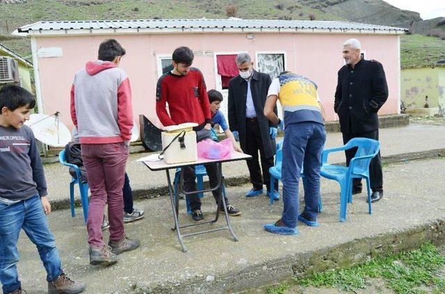 Tilki Tarafından Isırılan İnek Kuduz Çıktı, Köy Karantinaya Alındı