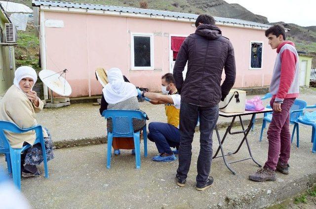 Tilki Tarafından Isırılan İnek Kuduz Çıktı, Köy Karantinaya Alındı