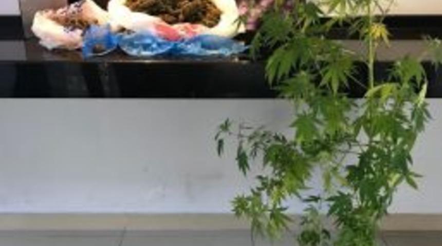 Alanya&rsquo;da Uyuşturucu Operasyonu