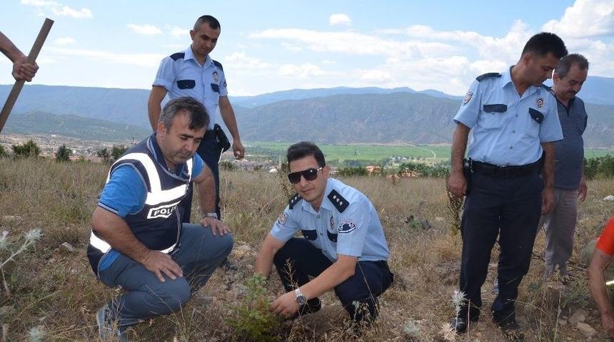 Kargı&rsquo;da 15 Temmuz Şehitleri İ&ccedil;in 250 Fidan Dikildi