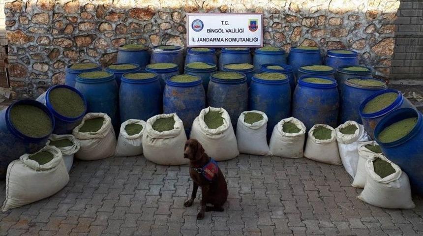 Terör Operasyonunda 1 Ton 240 Kilo Esrar Ele Geçirildi