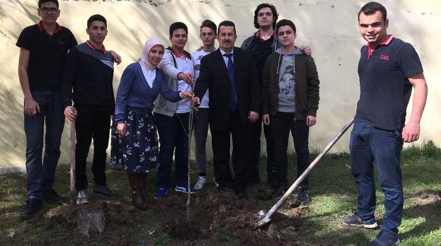 D&uuml;nyada Bir Dikili Ağa&ccedil;ları Oldu