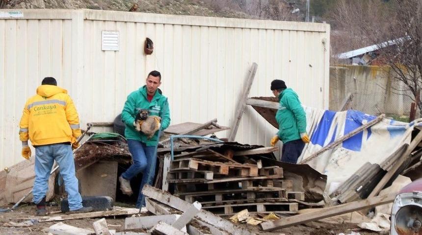 Alacaatlı&rsquo;daki İstif&ccedil;ilik El Birliğiyle Yok Edildi