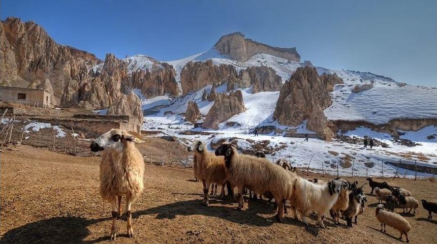 &Ccedil;eşmeli Fotoğraf&ccedil;ılar Van&rsquo;dan Muhteşem Fotoğraflarla D&ouml;nd&uuml;