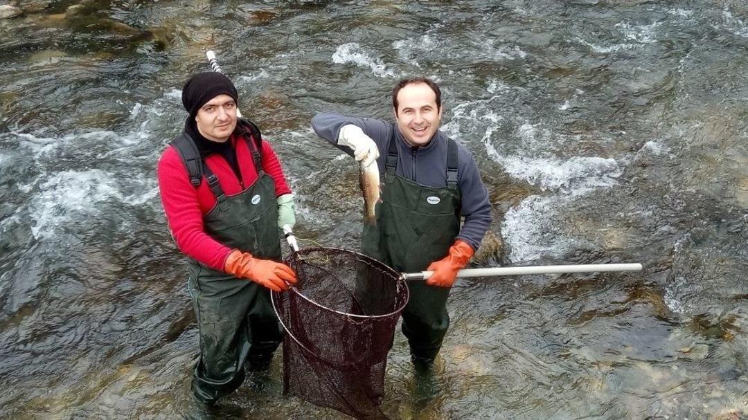 Aşırı Avcılık Deredeki Balıkları Bitiriyor