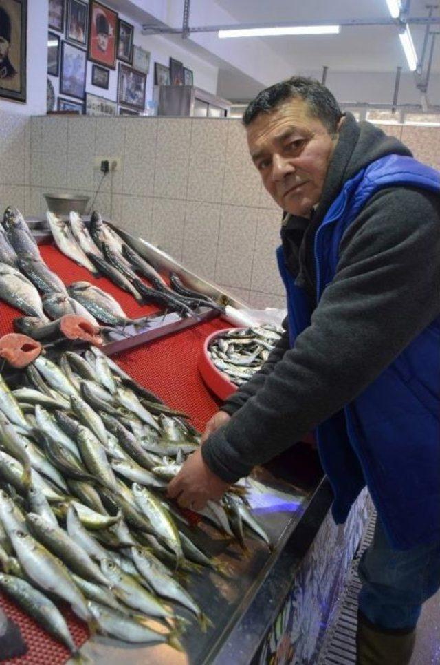 Karadeniz’de Balık Kalmayınca Trabzon’a Balıklar Ege’den Geldi