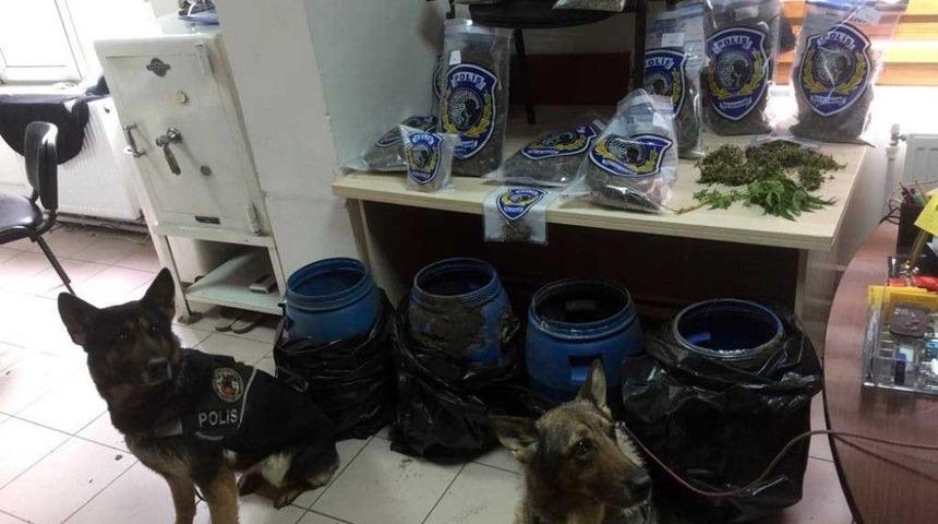 Samsun&rsquo;da Bidonlar İ&ccedil;inde Toprağa G&ouml;m&uuml;l&uuml; Esrar Ele Ge&ccedil;ti