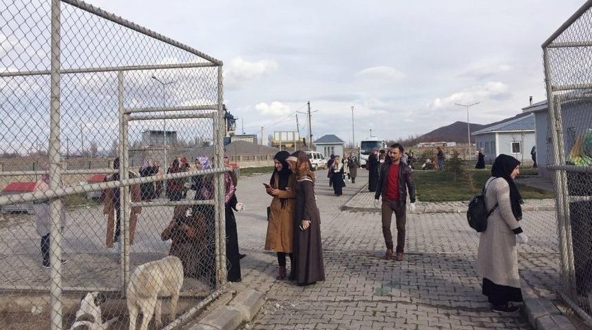 Mş&uuml; &Ouml;ğrencilerinden Sokak Hayvanları Bakımevine Ziyaret